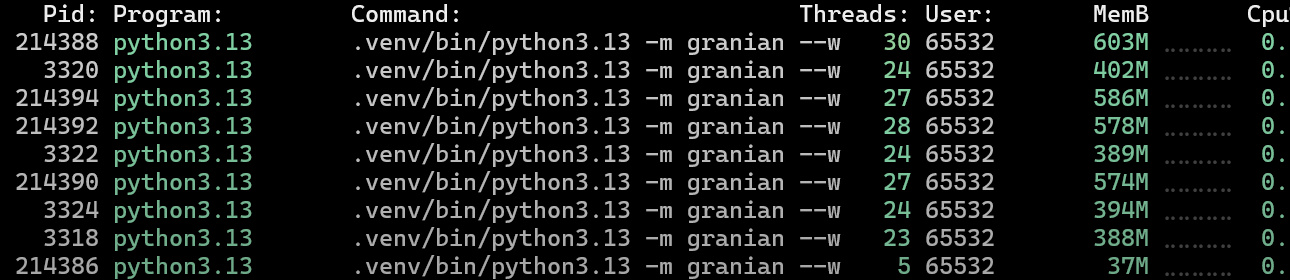 Granian worker memory usage